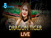 HO Gaming Dragon Tiger